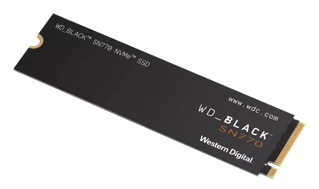 Western Digital WD Black SN770 WDS100T3X0E (M.2 2280 1TB)_大容量