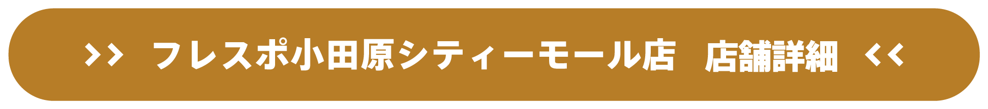 ドスパラフレスポ小田原シティーモール店 店舗詳細