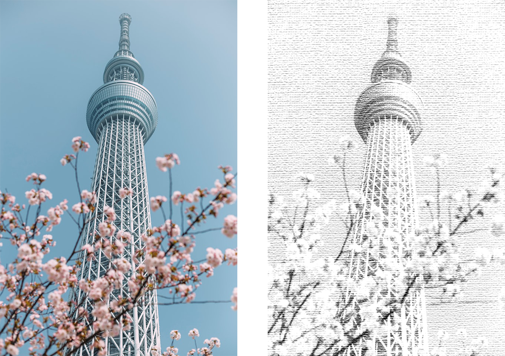 Photoshop（フォトショップ）の写真加工のバリエーションの「変わり種」として「鉛筆画風の加工」があります。