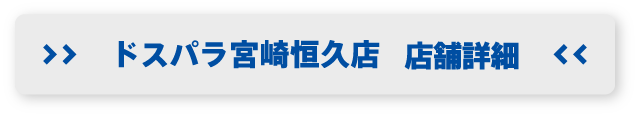 ドスパラ宮崎恒久店 店舗詳細