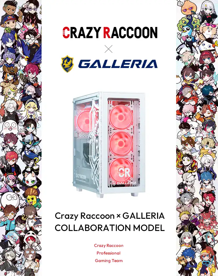 crazyraccoonコラボモデル
