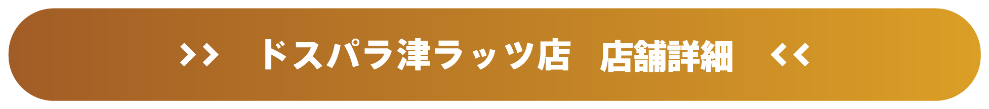 ドスパラ津ラッツ店 店舗詳細