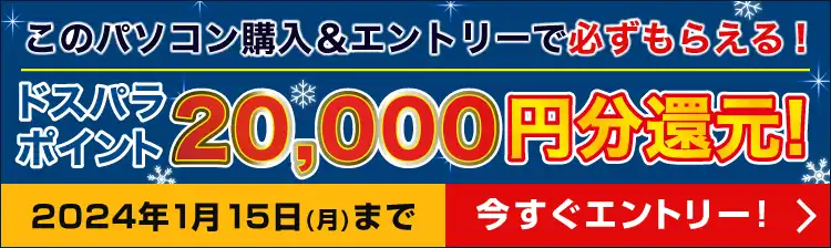 冬の大感謝祭20000