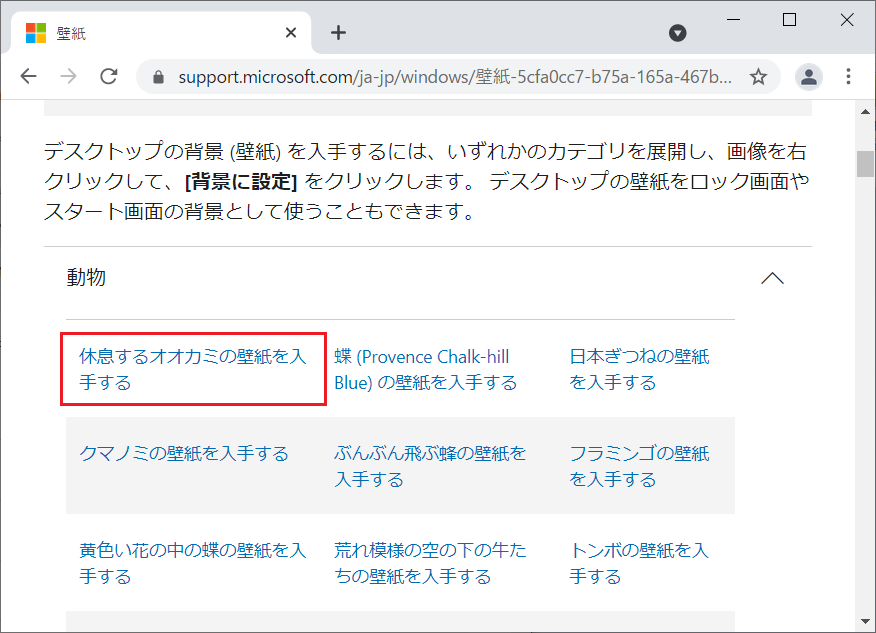 今回は「動物」カテゴリの中から「休憩するオオカミの壁紙」を選択しました。