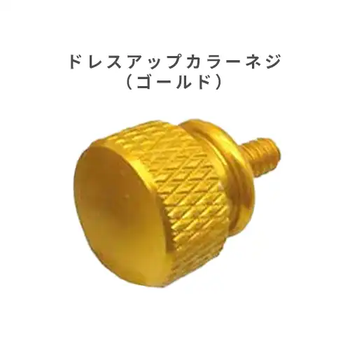 ドレスアップ用カラーネジ（ゴールド）