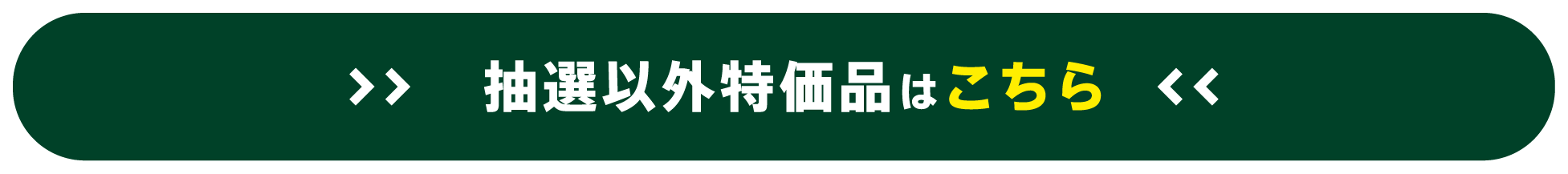 抽選以外特価品はこちら