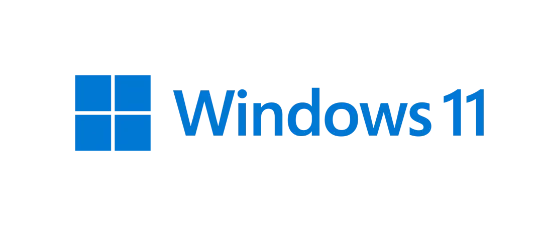 Windows 11