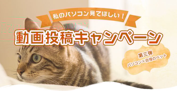 私のパソコン見てほしい!YouTube動画投稿キャンペーン第三弾