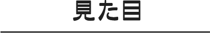 見た目