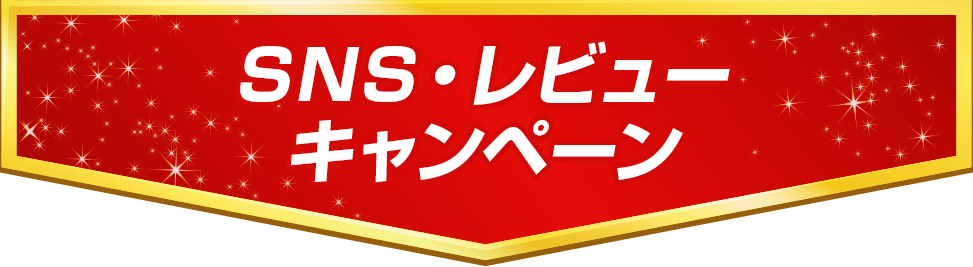 SNS・レビューキャンペーン