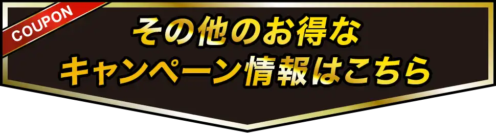 その他のお得なキャンペーン情報はこちら