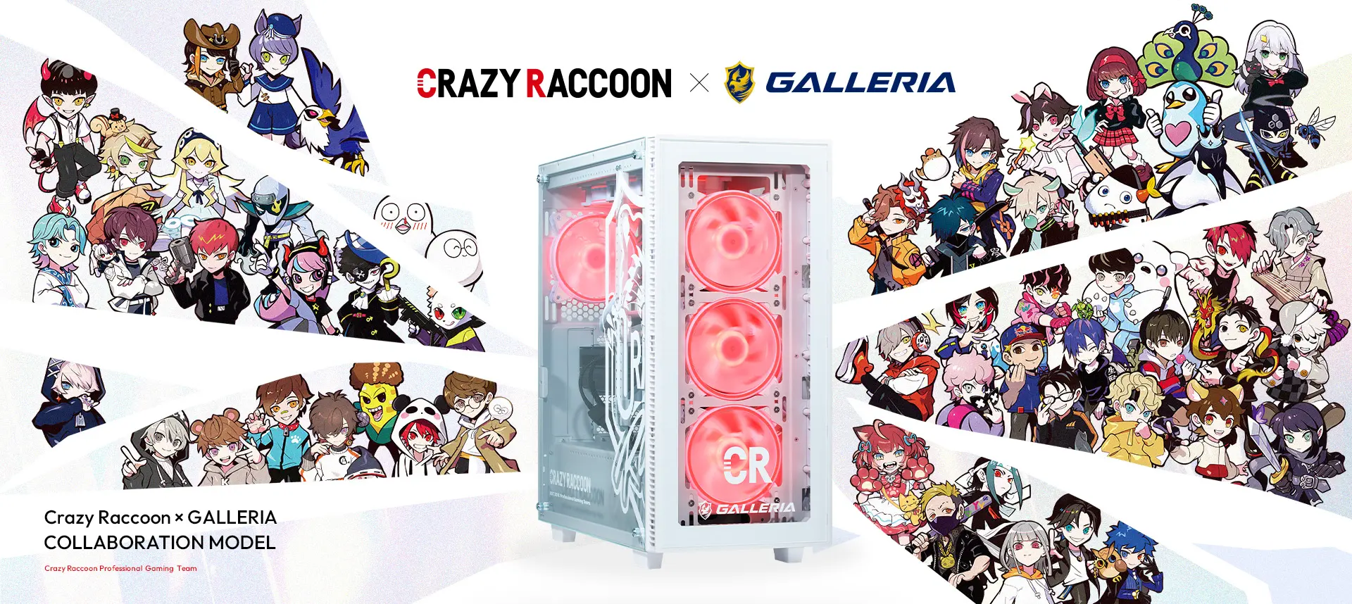 crazyraccoonコラボモデル
