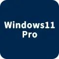Windows11 pro