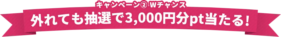 キャンペーン2・外れても抽選で3,000円分pt当たる!