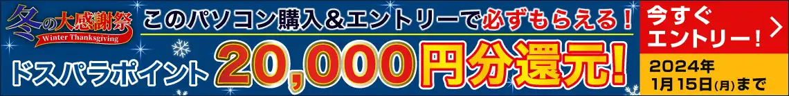 冬の大感謝祭20000