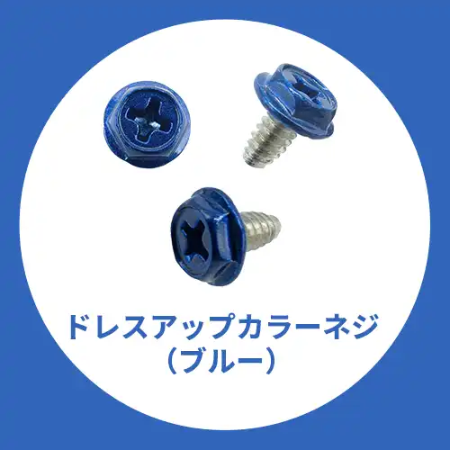 ドレスアップ用カラーネジ（ブルー）