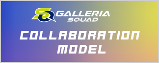 COLLABORATION MODEL