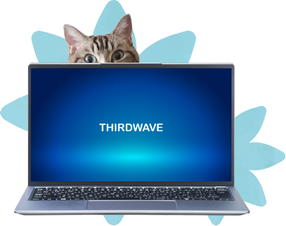 パソコン×猫