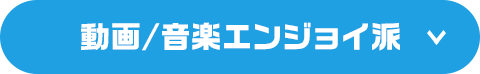 動画/音楽エンジョイ派