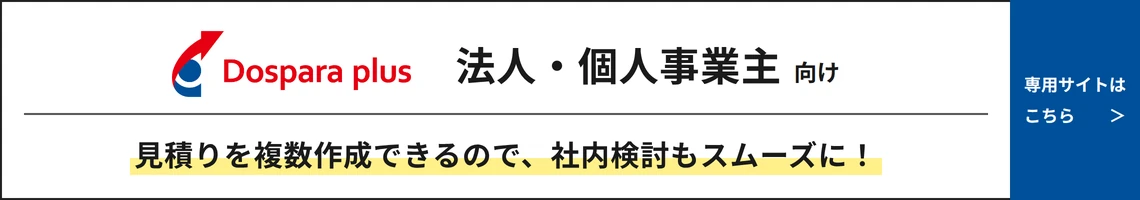 ドスパラプラス