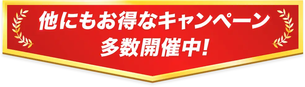 他にもお得なキャンペーン多数開催中!