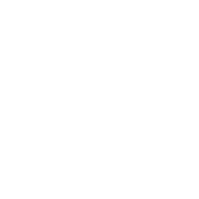 Live2D