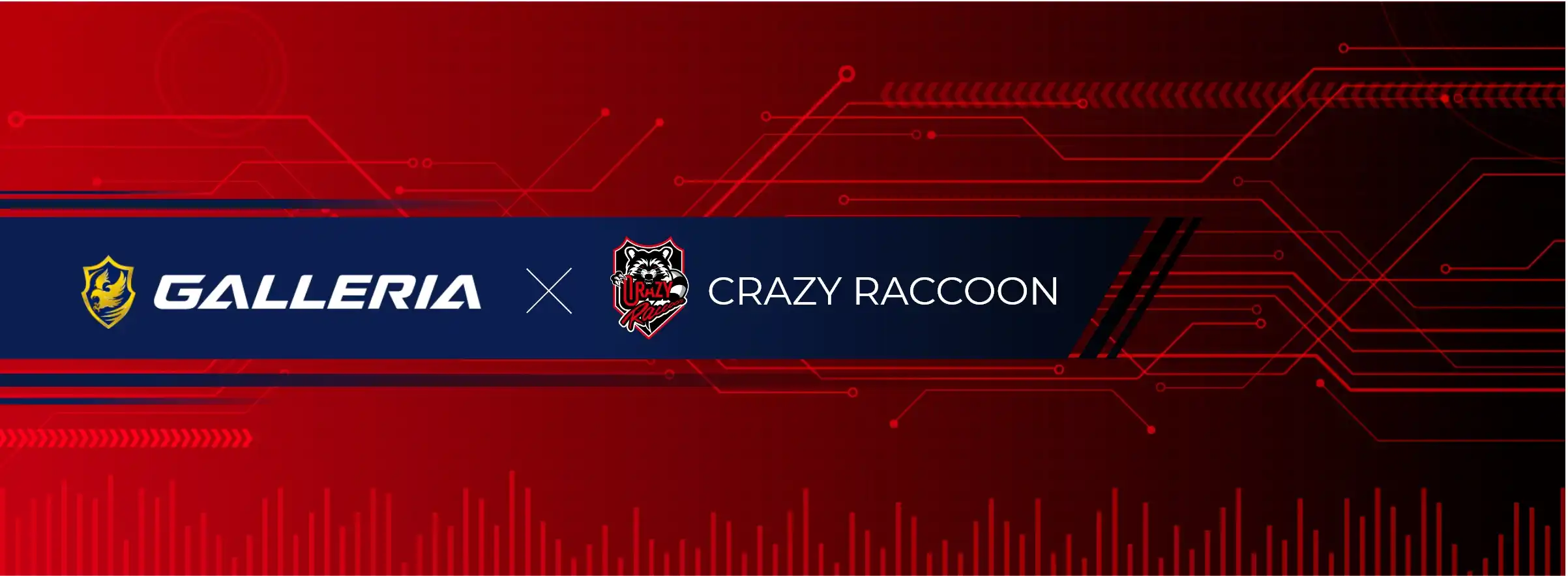 CRAZY RACCOON