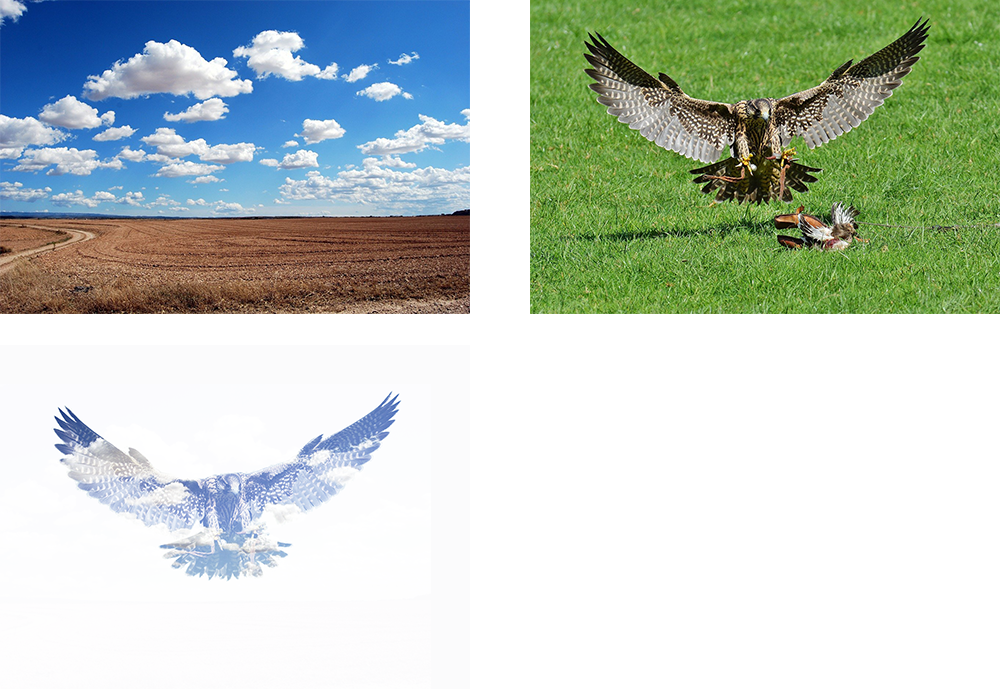 Photoshop(フォトショップ)ならば複数の写真を重ねて多重露光をかけたかのような幻想的な表現も可能です。