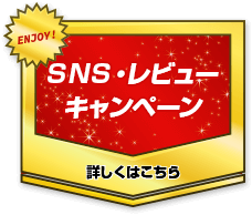 SNS・レビューキャンペーン