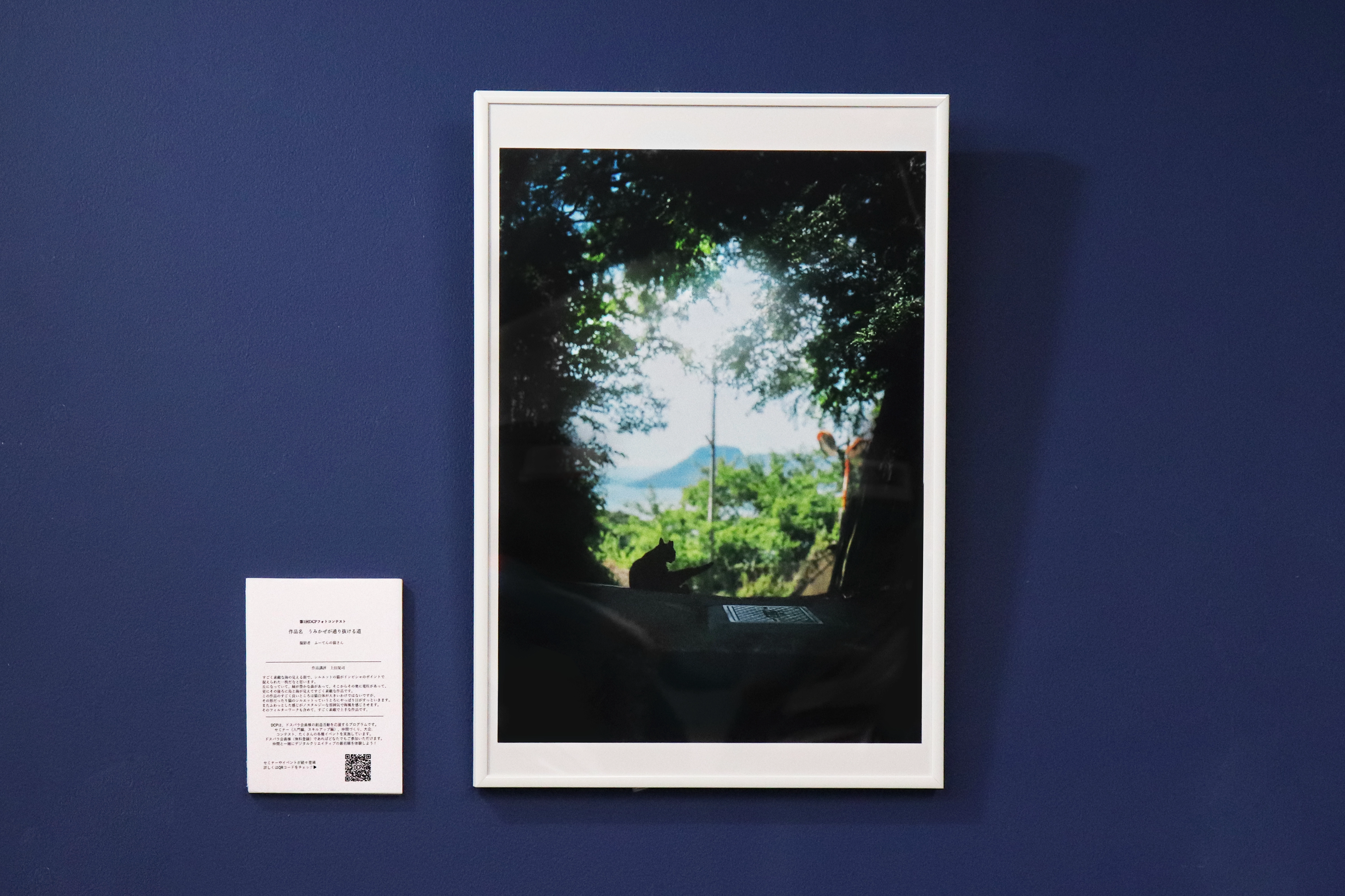 ドスパラ店舗での作品展示の様子