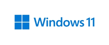 Windows 11