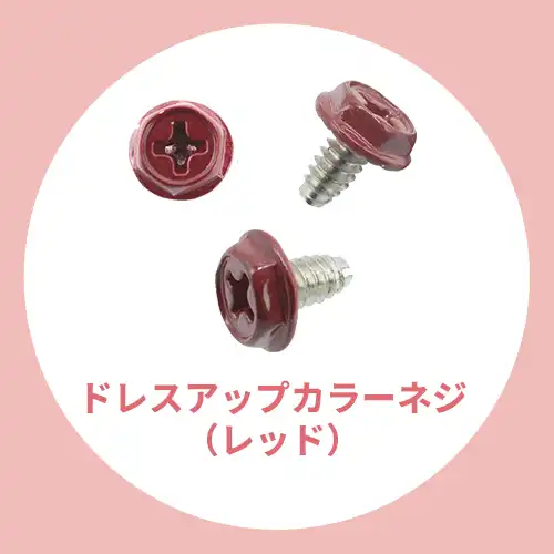 ドレスアップ用カラーネジ（レッド）