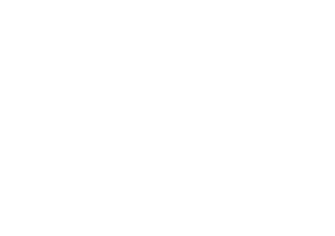THE OTHER REAL