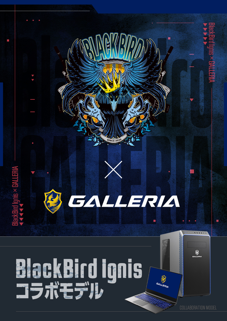 BlackBird Ignisコラボモデル