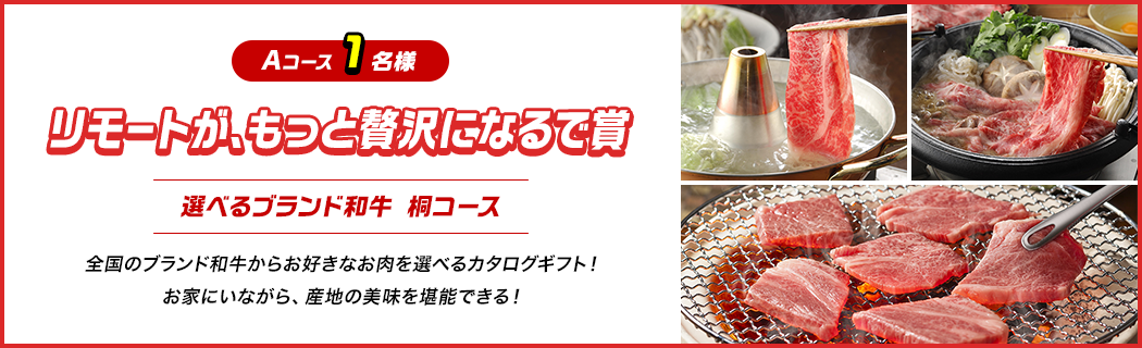 A リモートがもっと贅沢になるで賞