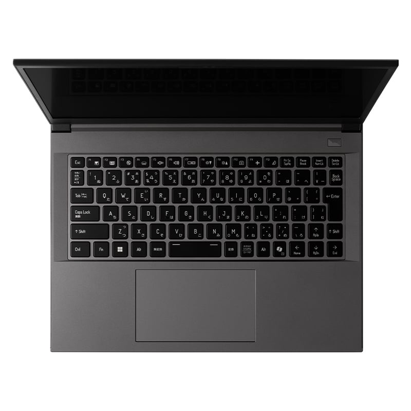 raytrek A4-M