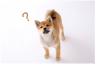 該当する商品は見つかりませんでした。